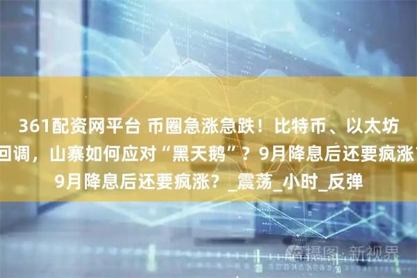361配资网平台 币圈急涨急跌！比特币、以太坊诱多逼空？牛市也回调，山寨如何应对“黑天鹅”？9月降息后还要疯涨？_震荡_小时_反弹