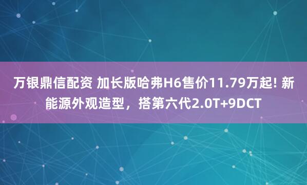 万银鼎信配资 加长版哈弗H6售价11.79万起! 新能源外观造型，搭第六代2.0T+9DCT