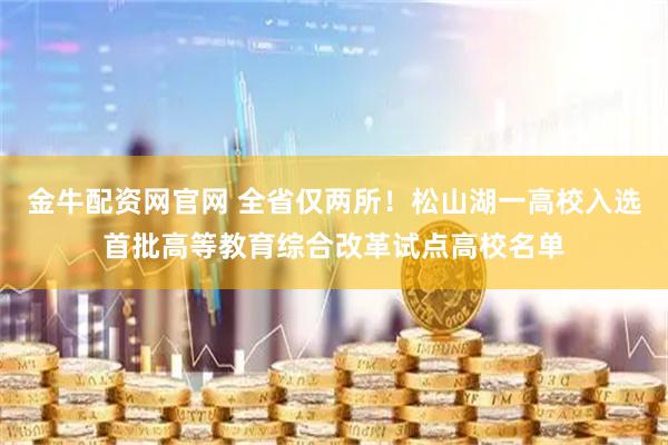 金牛配资网官网 全省仅两所！松山湖一高校入选首批高等教育综合改革试点高校名单
